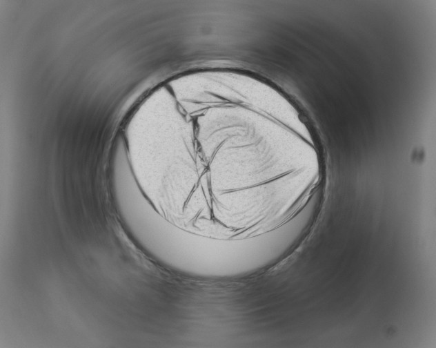 X0000112981181200910081103