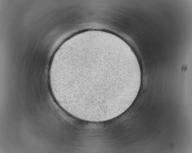 X0000112981183200910081103
