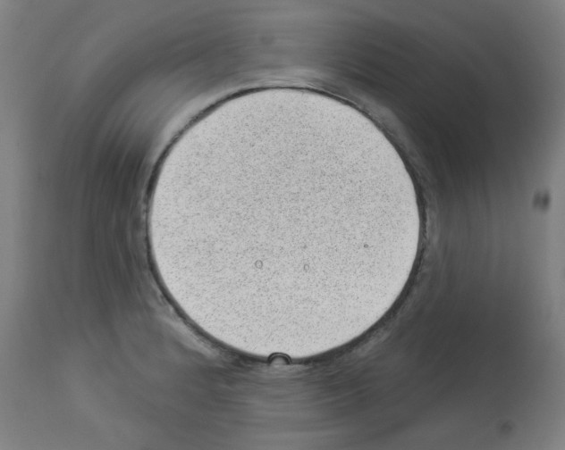 X0000112981184200910081103