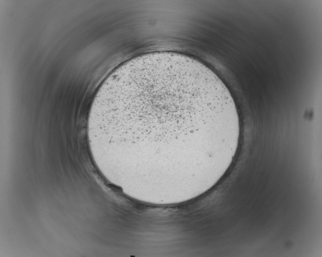 X0000112981185200910081103