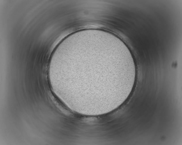 X0000112981186200910081103