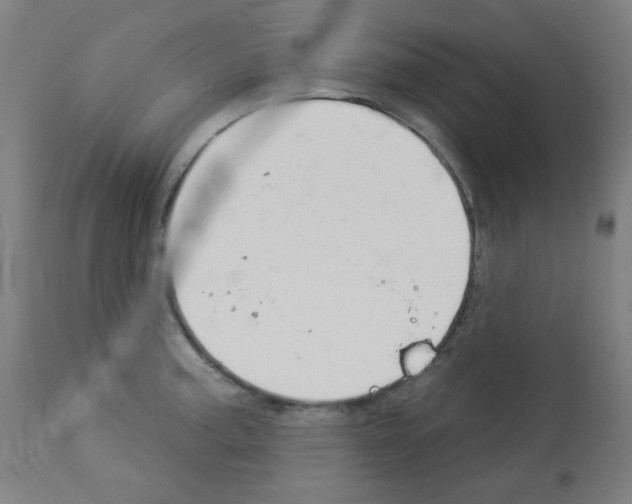 X0000112981187200910081103