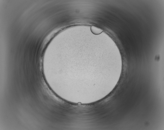 X0000112981188200910081102