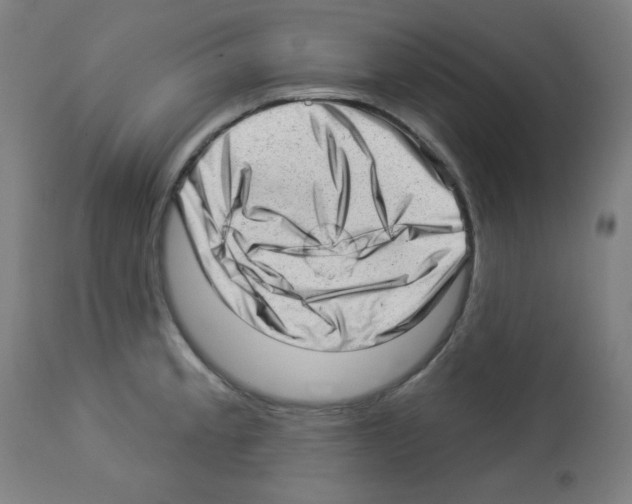 X0000112981189200910081102