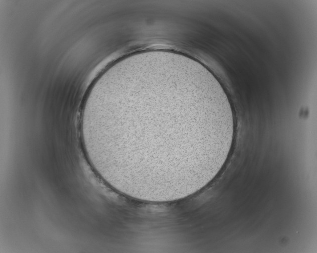 X0000112981190200910081102