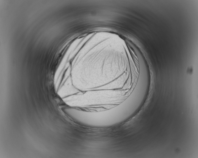 X0000112981193200910081102