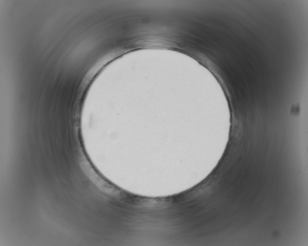 X0000112981195200910081102