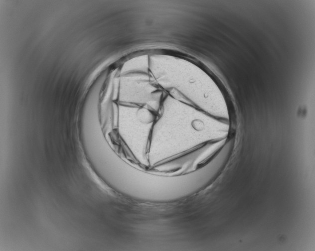 X0000112981197200910081102