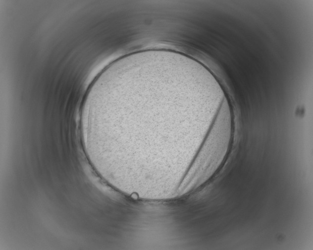 X0000112981198200910081102