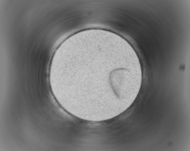 X0000112981199200910081102