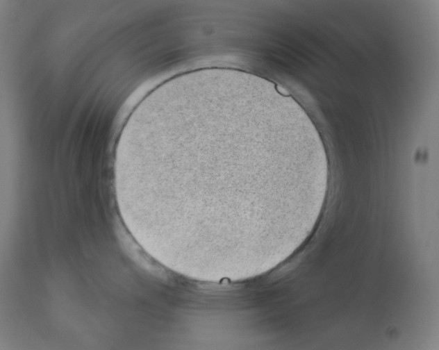 X0000112981200200910081102