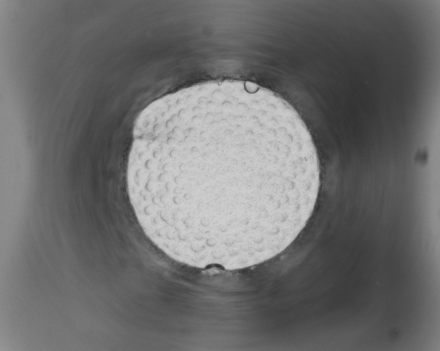 X0000112981201200910081102