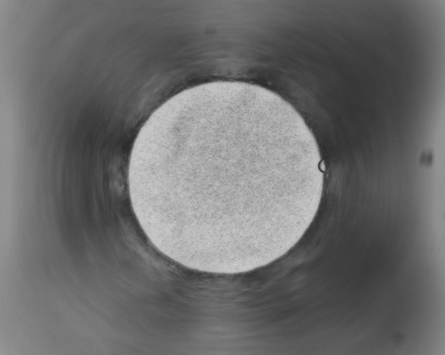 X0000112981202200910081102