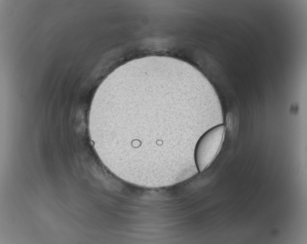 X0000112981203200910081102