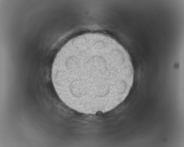 X0000112981205200910081102