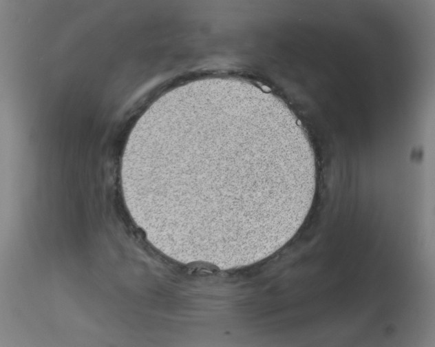 X0000112981206200910081102