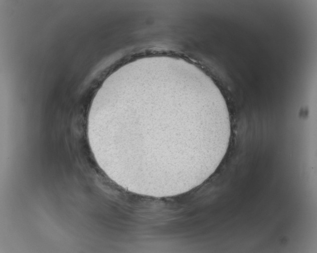 X0000112981207200910081102