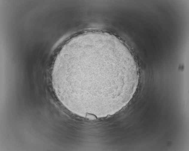 X0000112981208200910081102