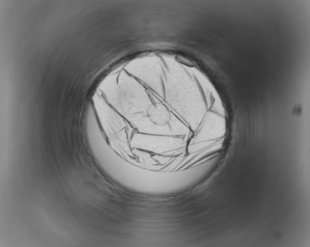 X0000112981209200910081102
