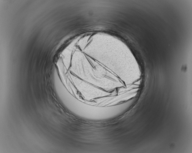 X0000112981210200910081102