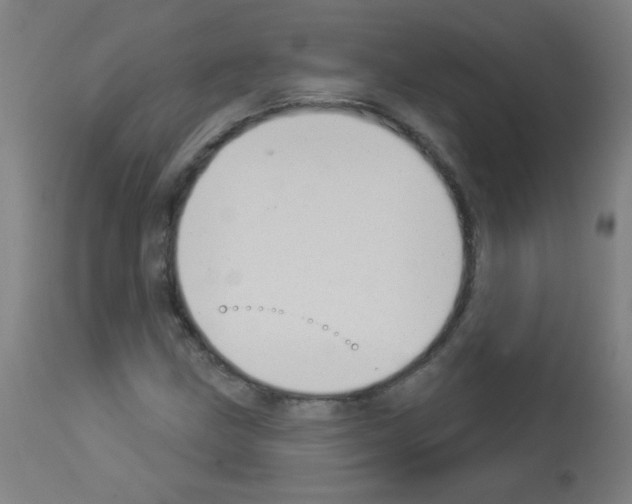 X0000112981211200910081102