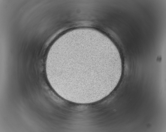 X0000112981212200910081102