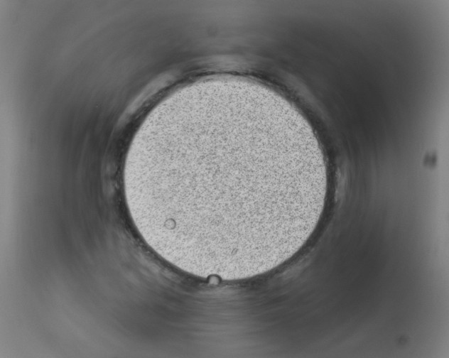 X0000112981213200910081102