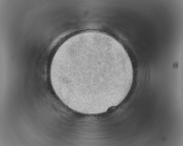 X0000112981214200910081102