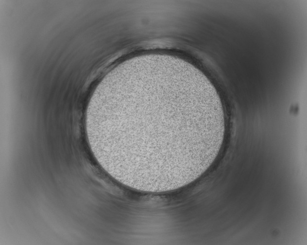 X0000112981217200910081102