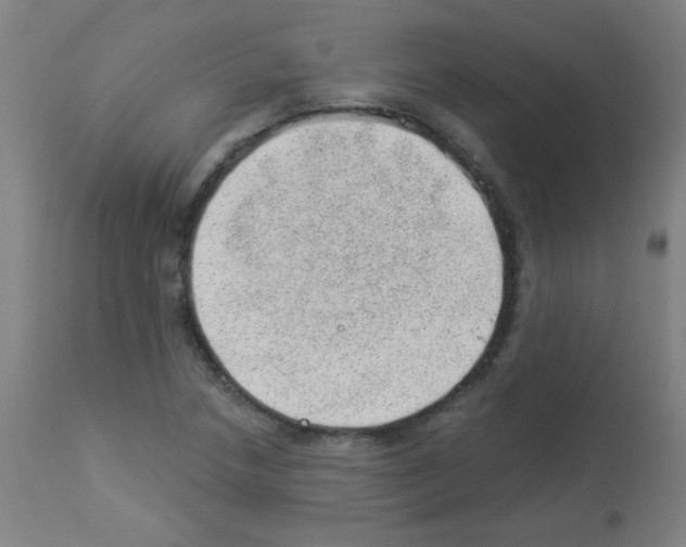 X0000112981218200910081102