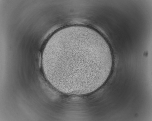 X0000112981219200910081102