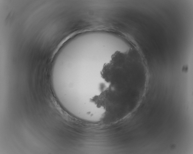 X0000112981220200910081102