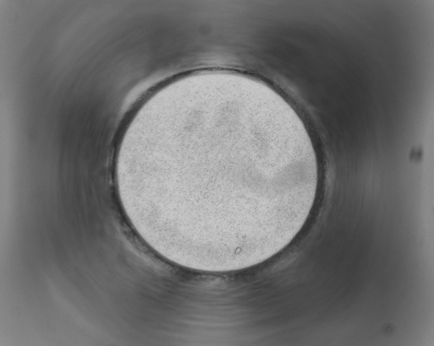X0000112981222200910081102