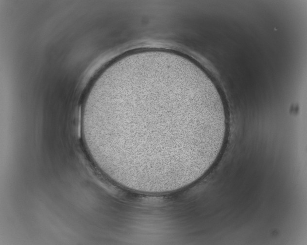 X0000112981223200910081102