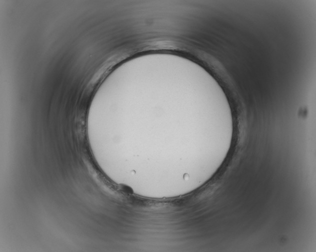 X0000112981225200910081102