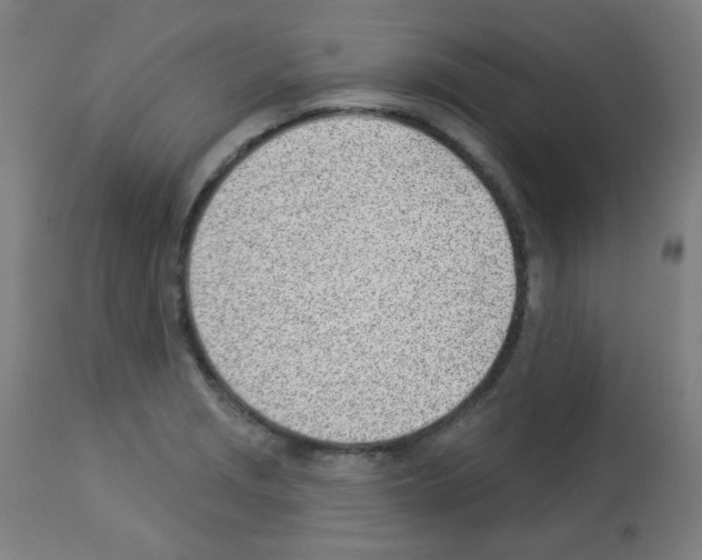 X0000112981229200910081102