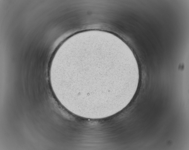 X0000112981230200910081102