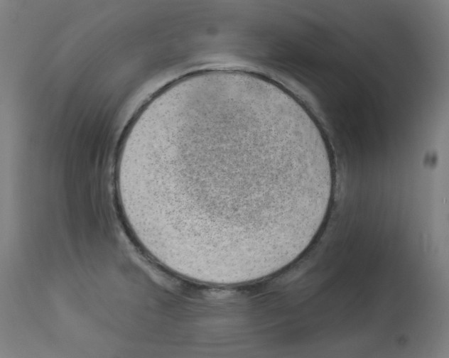 X0000112981231200910081102