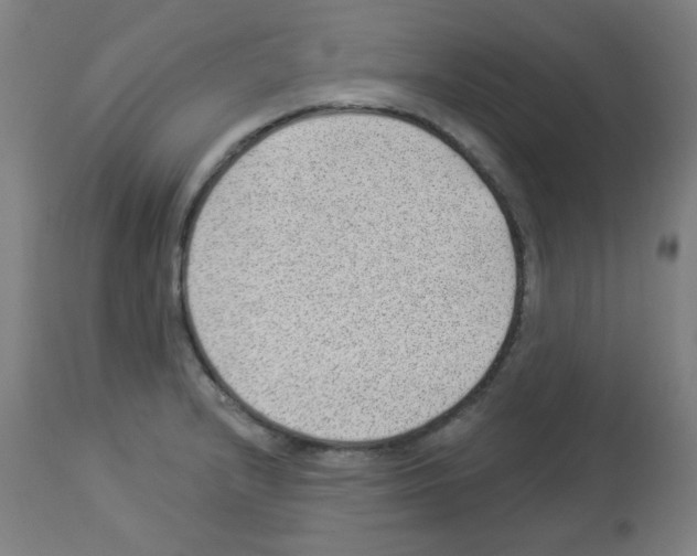 X0000112981232200910081102