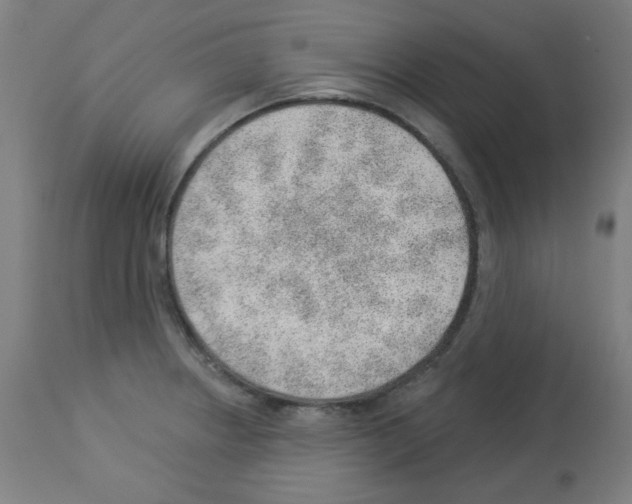 X0000112981234200910081102