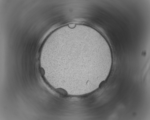 X0000112981235200910081102