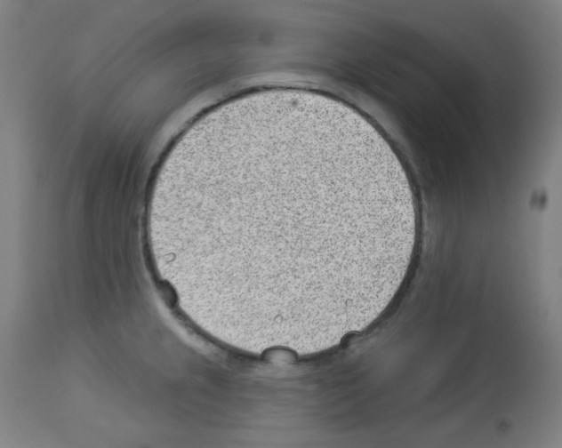 X0000112981237200910081102