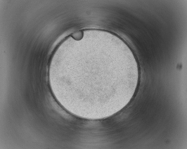 X0000112981238200910081102