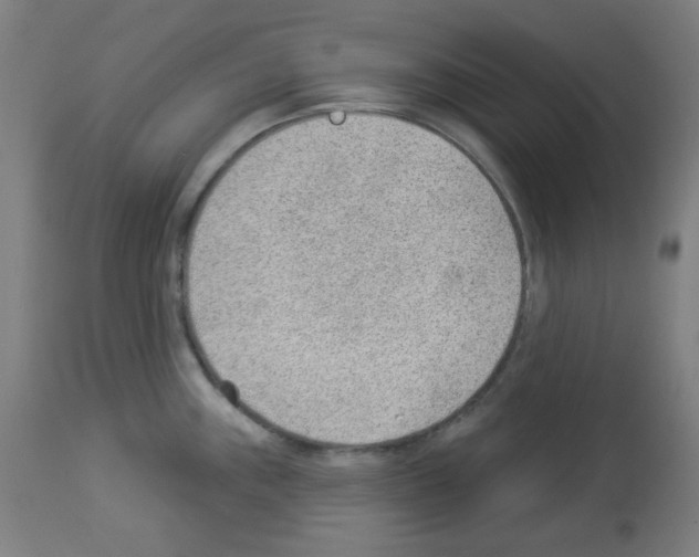 X0000112981243200910081102