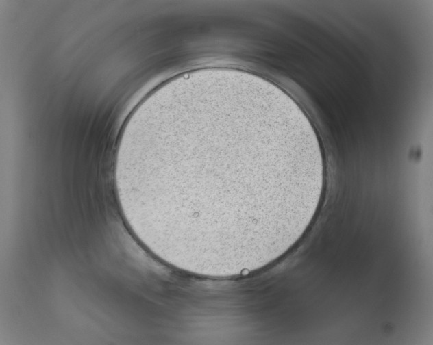 X0000112981244200910081102