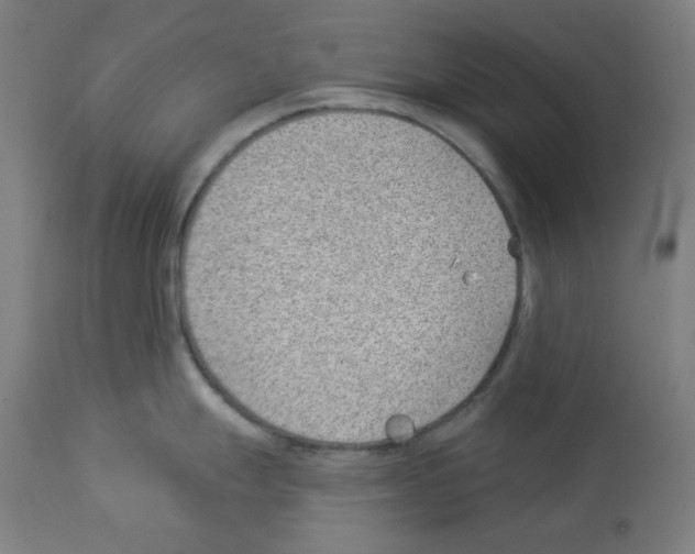 X0000112981247200910081102