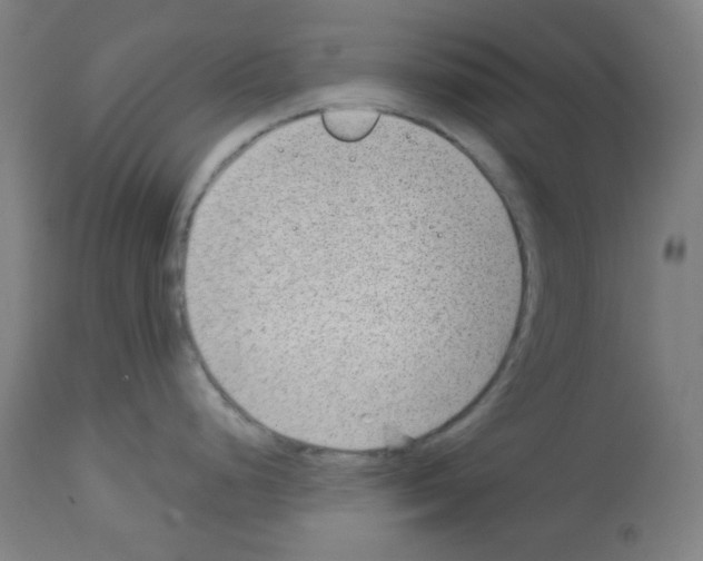 X0000112981248200910081102