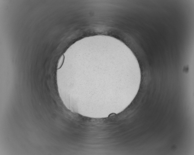 X0000112981249200910081102