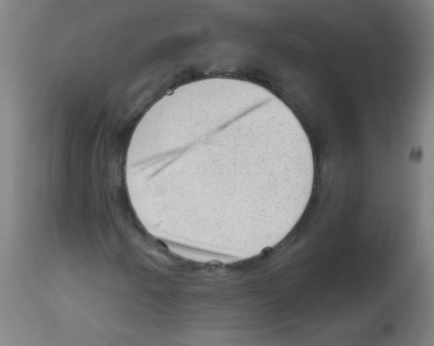 X0000112981250200910081102