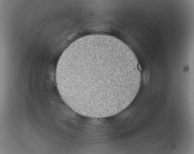 X0000112981251200910081102